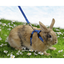Шлея нейлоновая Pet Pro с поводком, для кролика