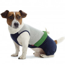 Костюм Pet Fashion Фитнес авокадо для собак