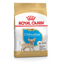 Сухой корм Royal Canin Chihuahua Junior, для щенков Чихуахуа от 8 месяцев