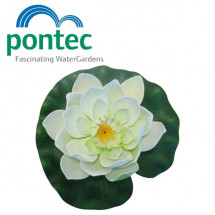 Плавающая водяная лилия Pontec PondoLily, белая