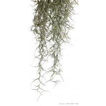 Растение ExoTerra Spanish Moss среднее