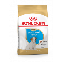 Сухой корм Royal Canin Jack Russell Terrier Junior, для щенков Джек Расселл Терьера