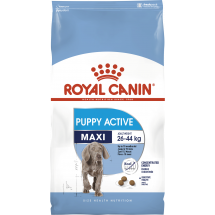 Сухой корм Royal Canin Maxi Junior Active, для щенков крупных пород