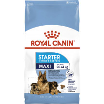 Сухой корм Royal Canin Maxi Starter, для щенков/беременных и кормящих сук