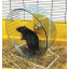 Пластиковый тренажер колесо Savic Rolly Giant+Stand для хомяков и крыс, 27,5 см фото