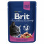 Консервы с лососем и форелью Brit Premium Cat Pouch  для кошек, 100г фото