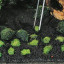 Пинцет Do Pinsettes для растений Ｓ, 180 мм фото