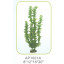 Искусственное растение декор для аквариума AP1001A08, 20 см фото
