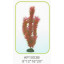 Искусственное растение декор для аквариума AP1003B08, 20 см фото