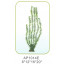 Искусственное растение декор для аквариума AP1014E08, 20 см фото