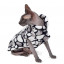 Свитер без рукавов Pet Fashion "Базилио" для кошек фото