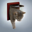 Врезная дверь для котов Trixie Classic, двухсторонняя, 14,7х15,8 см  фото