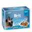 Консервы для кошек Brit Premium Cat pouch семейная тарелка в соусе, 1020 г фото