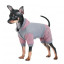 Костюм для собак Pet Fashion Рикки серый фото