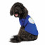 Футболка для собак Pet Fashion ГАЛАКТИКА синяя фото