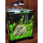 Аквариумный комплект для креветок AquaEL Shrimp Set 10 LED фото