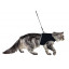 Поводок+шлея для котов Trixie "XCat", из нейлона, светящаяся, 24-42см, 1,20 м 	 фото