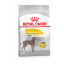 Корм Royal Canin Maxi Dermacomfort, при кожных раздражениях и зуде фото