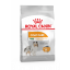 Корм Royal Canin Mini Coat Care для собак малых пород, для блестящей шерсти фото