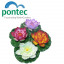Плавающая декоративная лилия Pontec PondoLily, 1 шт фото