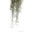 Растение ExoTerra Spanish Moss среднее фото