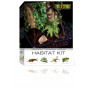 Exo Terra Rainforest Habitat Kit Medium («Тропики»), 45х45х60 см фото 2