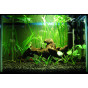 Внутренний аквариумный фильтр Aquael FAN Mini Plus, 4,2 Вт фото 3