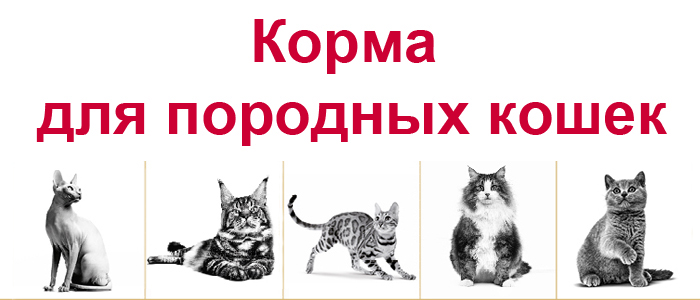 Корма для кошек разных пород