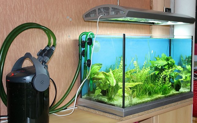 Как поставить фильтр в аквариум: работаем с внешними и внутренними очистными системами